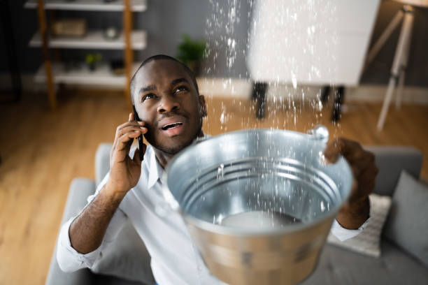 Best Ceiling water damage repair  in Buckner, KY