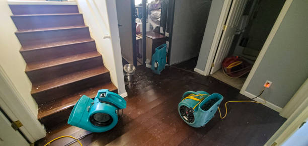 Best Emergency water damage restoration  in Buckner, KY