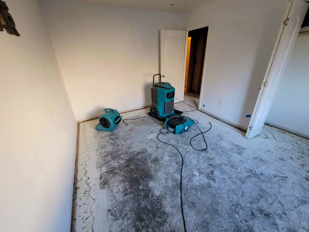 Best Carpet water damage restoration  in Buckner, KY