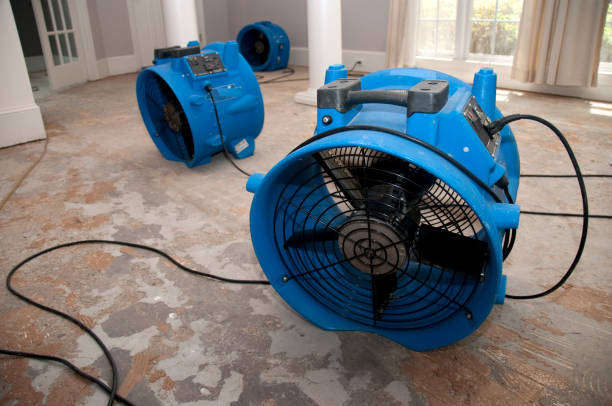 Best Commercial water damage restoration  in Buckner, KY