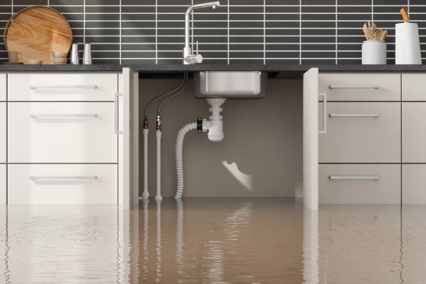 Best Flooded house restoration  in Buckner, KY